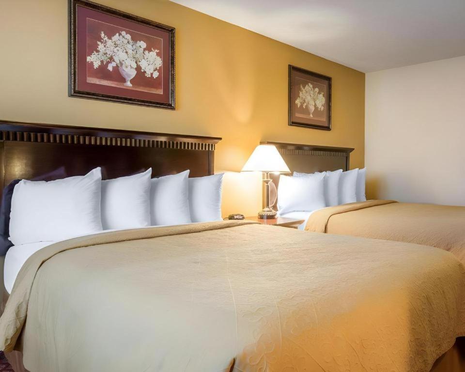 Quality Inn San Bernardino Exterior foto