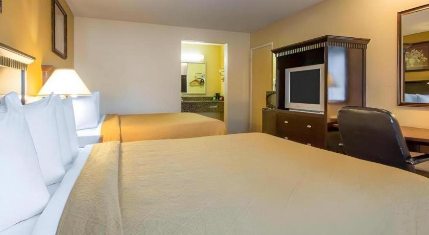 Quality Inn San Bernardino Exterior foto